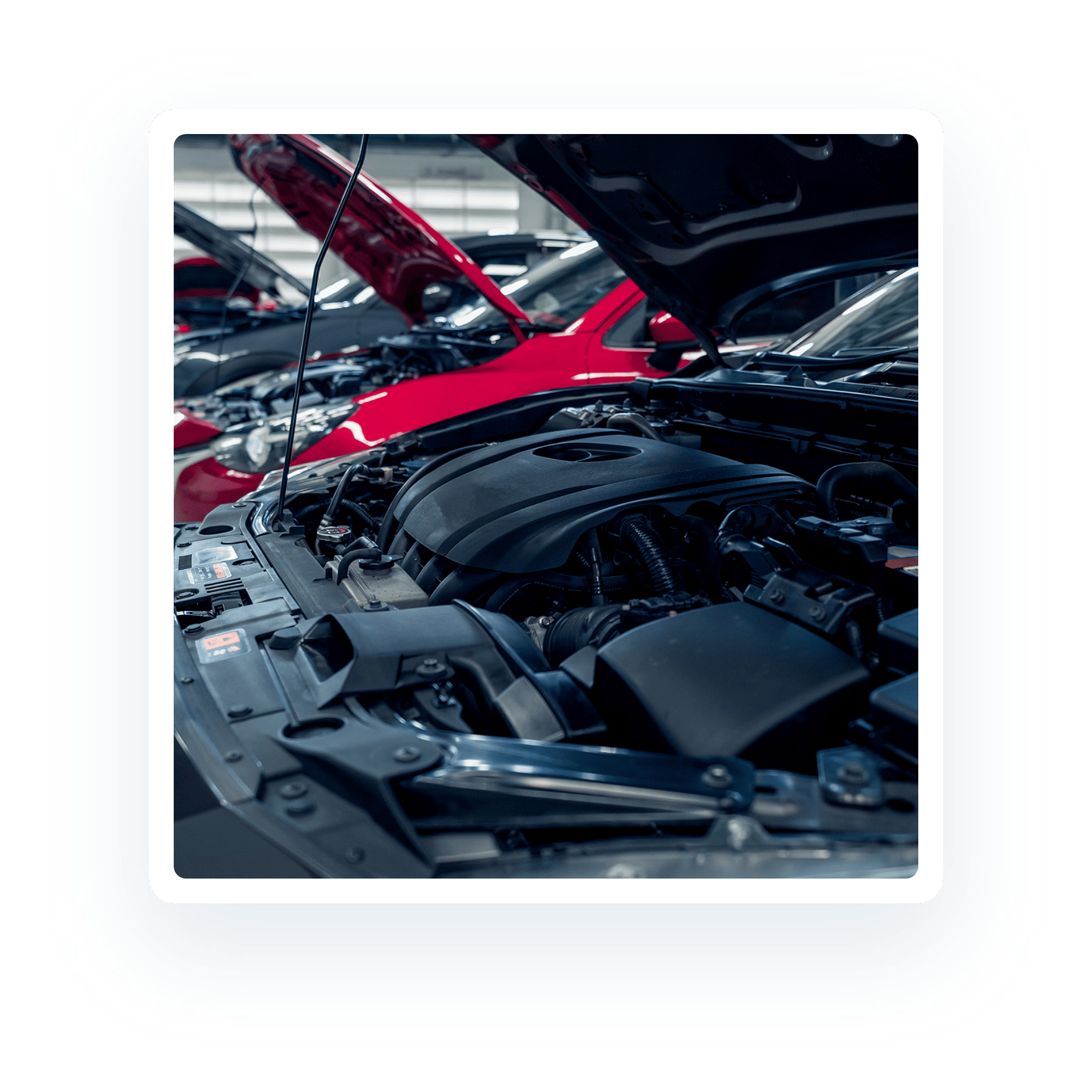 Image of cars with hoods up with exposed engines and other interior components. Concept image of engine services and repair at Quality Car Care in North Liberty, IA.